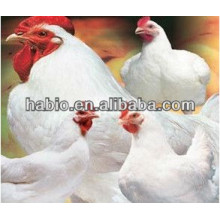 Compound enzymes for broiler chick feed